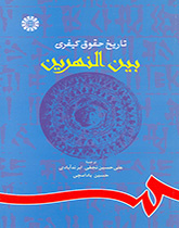 تاریخ حقوق کیفری بین‌النهرین