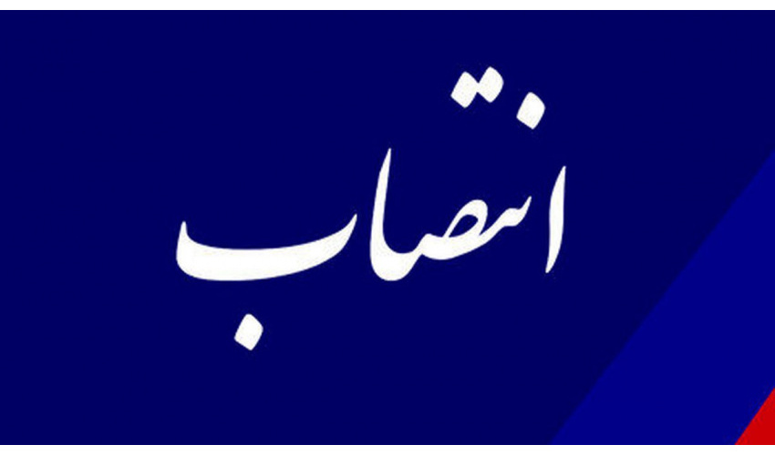 سرپرست معاونت پژوهشی «سمت» منصوب شد